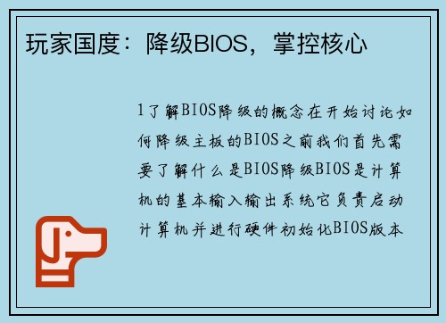 玩家国度：降级BIOS，掌控核心